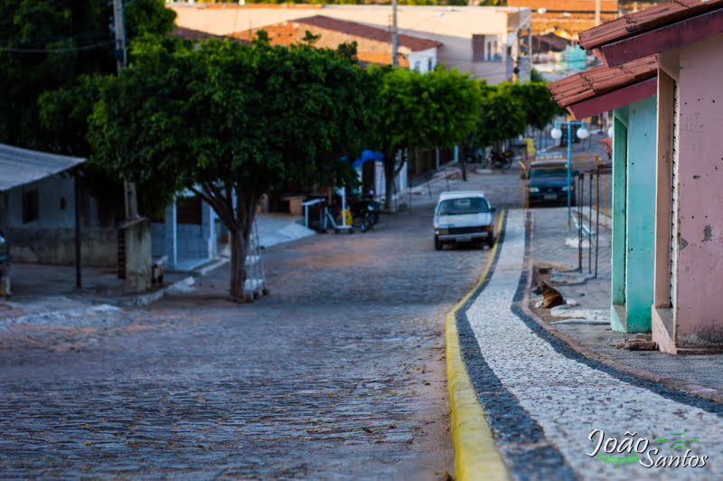Meios fios de toda a cidade recebem pintura – Foto: João Santos