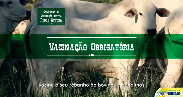Campanha de vacinação contra febre aftosa em Solidão termina dia 30 de novembro