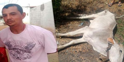 Homem morre após colidir com animal na PE-320 em Tabira