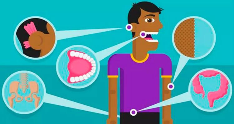 A evolução fez com que algumas partes do nosso corpo não sejam mais úteis- Foto: BBC