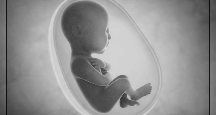 O feto que se hospedou em seu corpo era alimentado por uma rede vascular – Reprodução