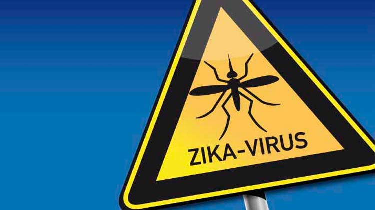 Pessoas que já tiveram dengue teriam menos chance de ter Zika, diz estudo