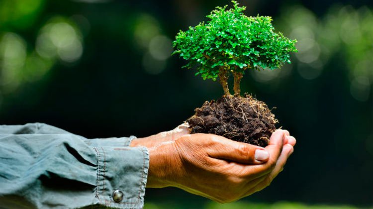 05 de junho- Dia Mundial da Reciclagem