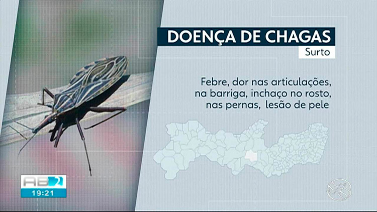 Surto de Doença de Chagas gera boatos e medo na população do Sertão
