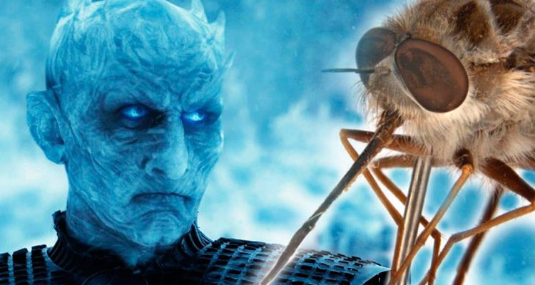 Nova espécie de mosca é batizada com o nome de vilão de 'Game of Thrones'