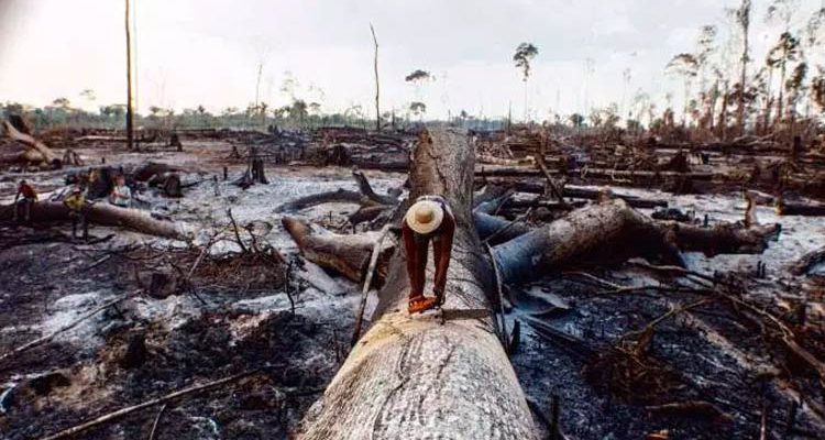 Por que os incêndios da Amazônia geraram uma crise no Brasil e no mundo?