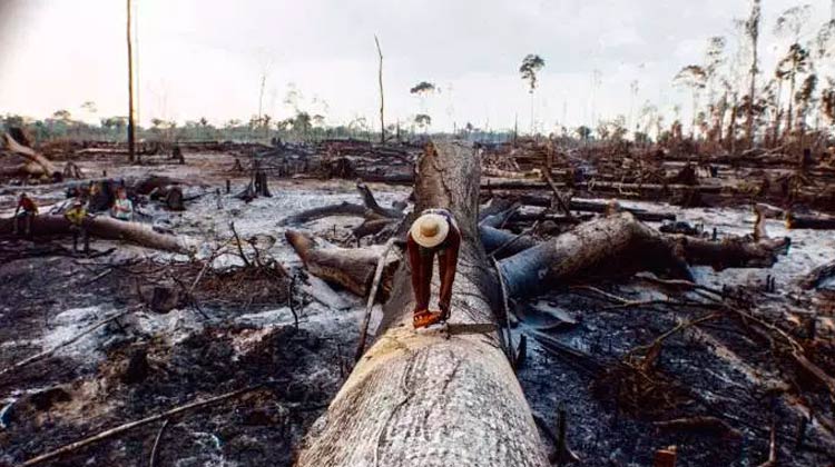 Por que os incêndios da Amazônia geraram uma crise no Brasil e no mundo?