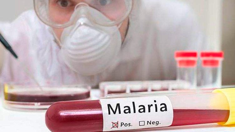 Anvisa aprova nova droga para malária