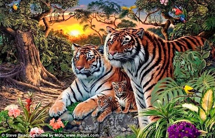 Desafio: quantos tigres você enxerga nesta imagem?