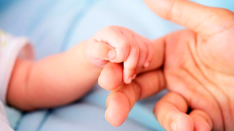 CCJ aprova admissibilidade de proposta que amplia licença-maternidade para 180 dias