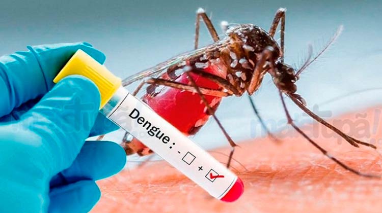Dengue: 2019 Brasil tem segundo maior número de casos de série histórica