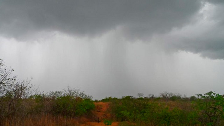 Inmet mantém alerta de chuva forte para Sertão e Agreste