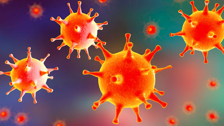 Confira 6 dos vírus mais letais do planeta
