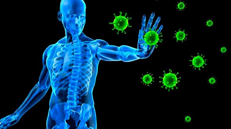 Veja alimentos que fortalecem o sistema imunológico