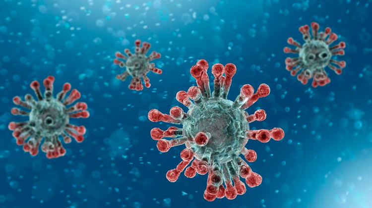 Brasil tem total de 25 pacientes com coronavírus
