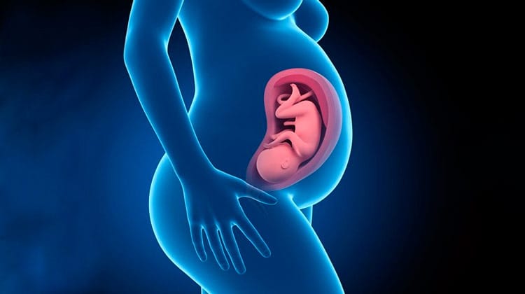 Por que evitar gravidez na quarentena virou recomendação médica?