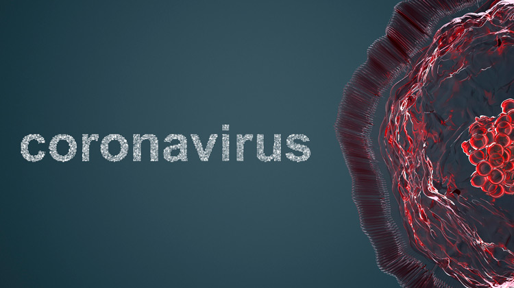 Anticorpo que neutraliza o novo coronavírus é identificado