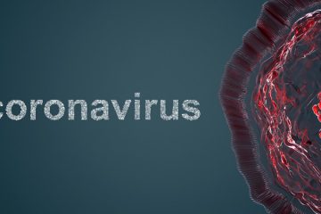 Anticorpo que neutraliza o novo coronavírus é identificado
