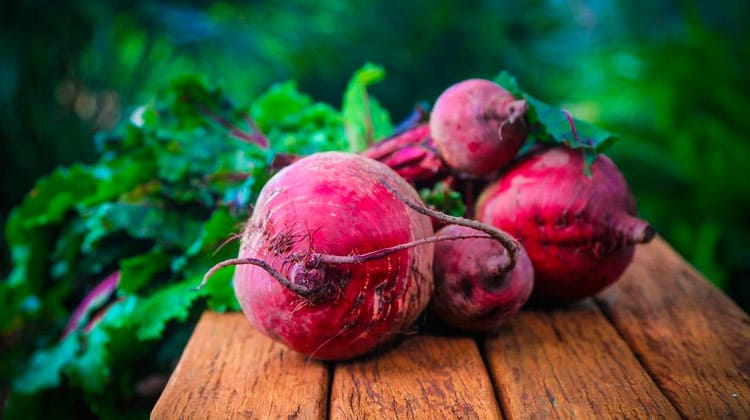 Boa alimentação ajuda a fortificar o sangue