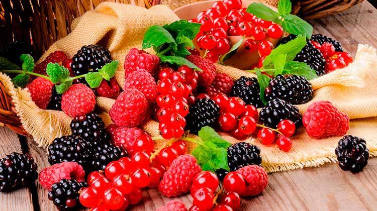 Boa alimentação ajuda a fortificar o sangue