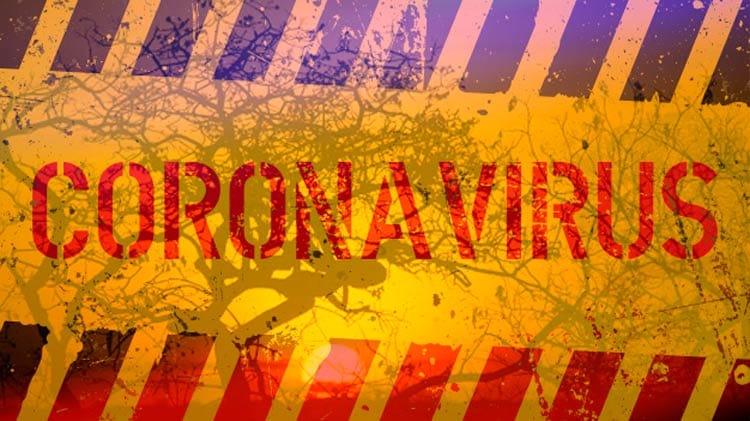 Covid-19: Sertão do Pajeú chega a 373 casos confirmados