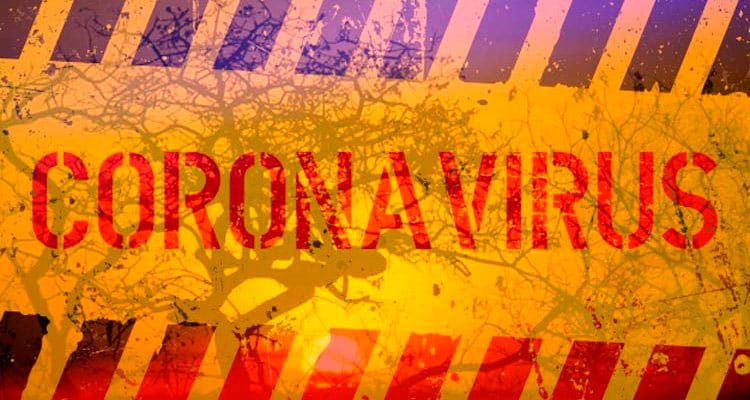 Covid-19: casos confirmados no Pajeú chega a 644