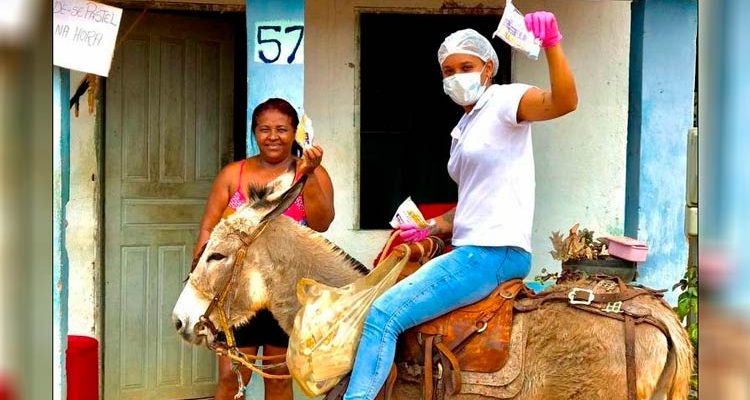 Na Bahia, enfermeira usa jegue para entregar kits na pandemia
