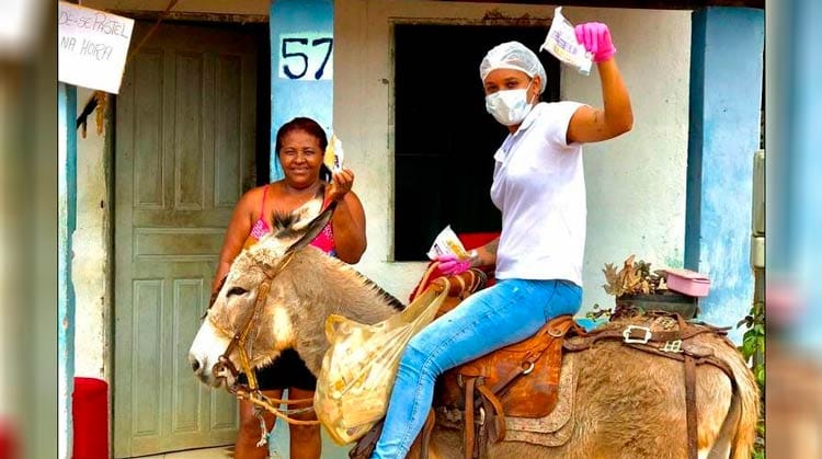 Na Bahia, enfermeira usa jegue para entregar kits na pandemia