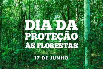 17 de julho - Dia de Proteção às Florestas