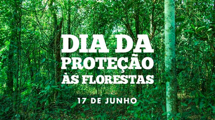 17 de julho - Dia de Proteção às Florestas