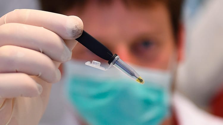 Testes de vacina contra Covid-19 começam hoje no Brasil; entenda o processo