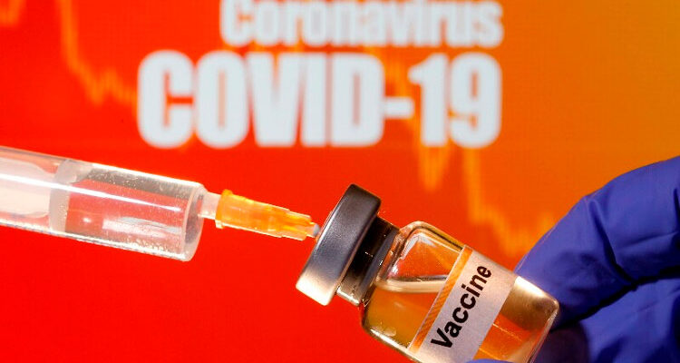 Vacina contra covid-19 testada em macacos apresenta resultados animadores