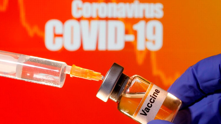 Vacina contra covid-19 testada em macacos apresenta resultados animadores