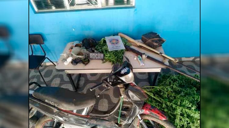 Em uma ação conjunta do comando do 23º BPM, na madrugada desta quarta-feira (23), policiais militares, erradicaram uma roça de maconha no Sítio Caxi, zona rural de Carnaíba. Segundo informações, foram erradicados 1.370, pés de maconha, além de apreensão de três armas de fogo, uma moto Shyneray, sementes de maconha e sementeiras. Os três indivíduos que estavam no plantio, conseguiram fugir. Ainda segundo informações, a descoberta do plantio, se deu através do trabalho de inteligência, que levantou todas as informações. A operação contou com equipes do GATI, da ROCAM e do Centro de Operações do 23º BPM. Todo o material apreendido foi levado para a delegacia de Carnaíba. Com informações Blog do Nill Júnior