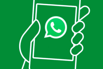 Eleições 2020: É possível tirar dúvidas através do WhatsApp?