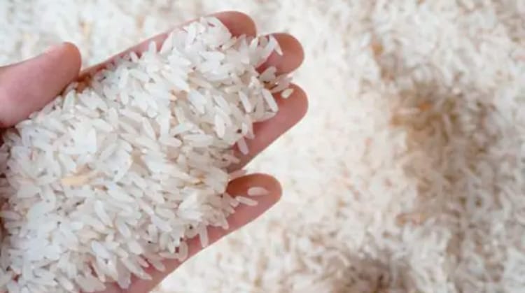 Preço do arroz: 'Mercado está se normalizando', diz consultor de varejo