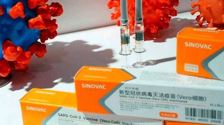 Anvisa interrompe os estudos clínicos da CoronaVac