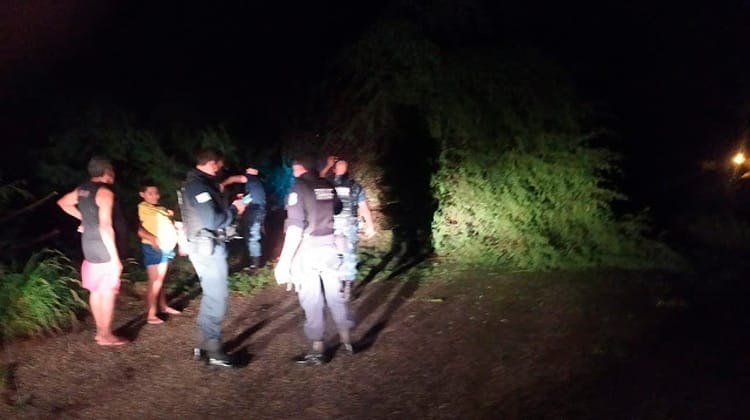 Árvore cai entre as cidades de Tabira e Solidão interrompendo o trânsito