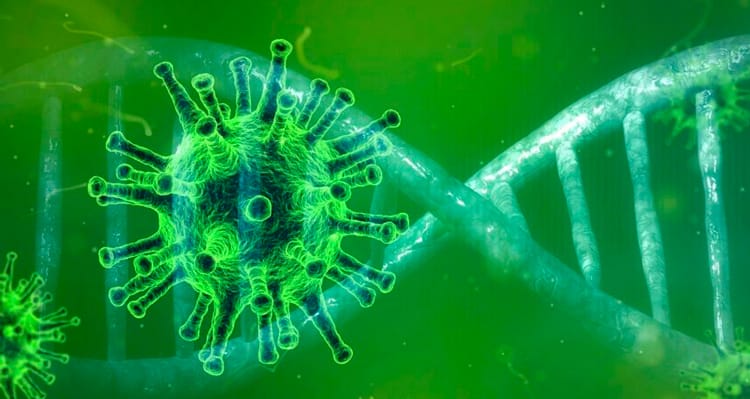 Anticorpos da Covid-19 permanecem no sangue no mínimo oito meses, diz estudo