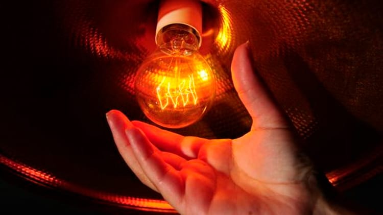 Promessa de Bolsonaro sobre luz não tem como ser cumprida