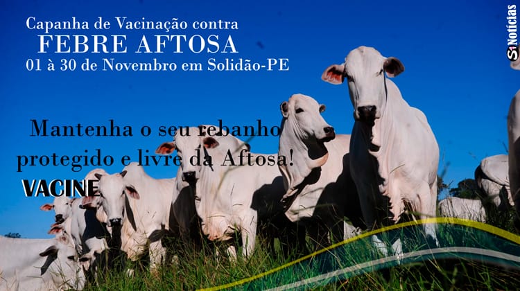 Segunda etapa da vacinação contra febre aftosa começa em 1º de novembro em Solidão