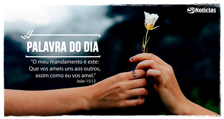 Palavra do Dia: 14 de novembro - Amor ao próximo!