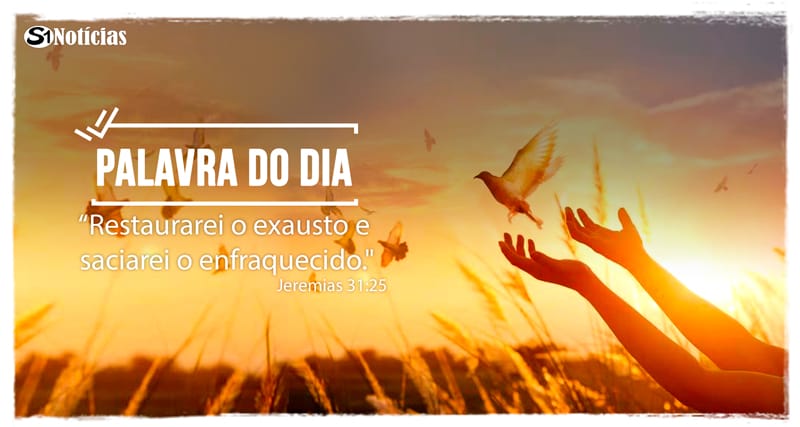 Palavra do Dia: 23 de novembro – Jesus tem o descanso que você precisa!