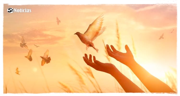 1 de janeiro - Dia Mundial da Paz