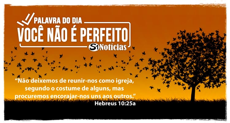 Palavra do Dia – Você não é perfeito