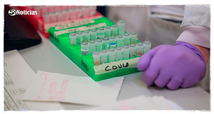 Em 24h,mais de seis mil novos casos de Covid-19 e 30 óbitos são registrados em Pernambuco