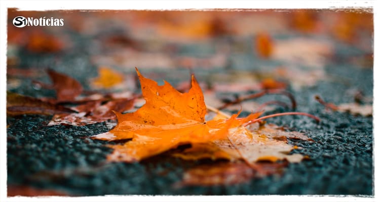 Outono terá chuvas intensas e baixas temperaturas