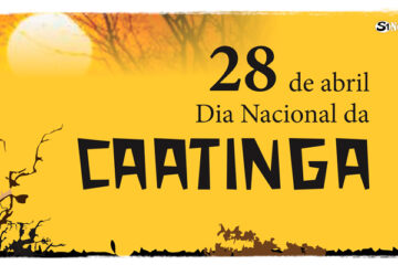 28 de abril - Dia Nacional da Caatinga