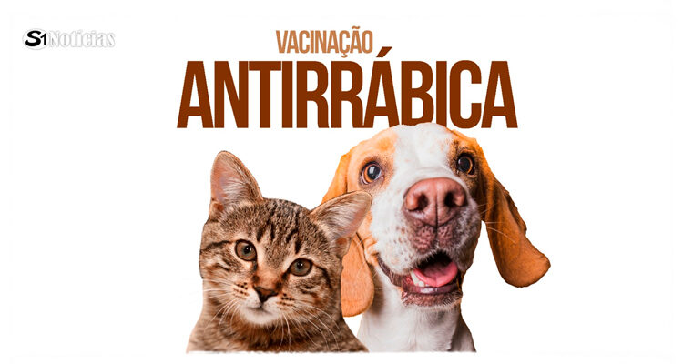 Solidão realiza campanha de vacinação antirrábica neste sábado