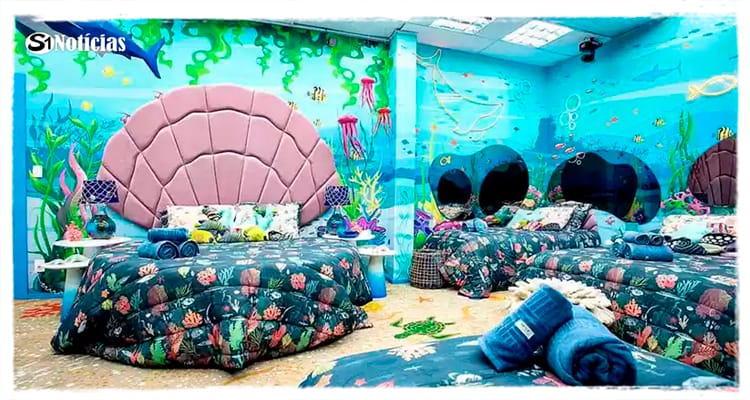 BBB apresenta 'alto risco para a saúde mental', diz psiquiatra